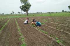 IMG-20200218-WA0029
