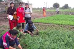 IMG-20200218-WA0030
