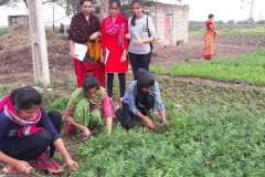 IMG-20200218-WA0032