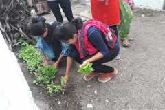 IMG-20200218-WA0034