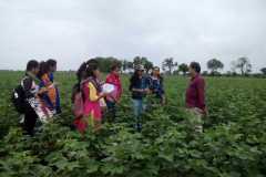 IMG-20200220-WA0034