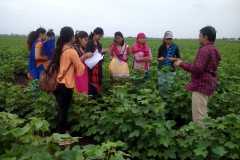 IMG-20200220-WA0035