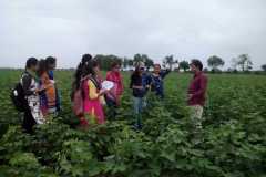 IMG-20200220-WA0036