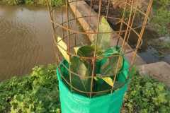 IMG-20190915-WA0056
