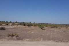 IMG-20190824-WA0193