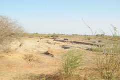 IMG-20190824-WA0194