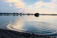 IMG_9578